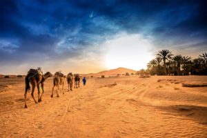 Diálogos: Os milagres acontecem no deserto 4 09 14 deserto do saara voce viajando 1024x683
