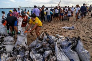 Exército brasileiro inicia limpeza de óleo vazado nas praias do litoral do nordeste 5 Limpeza de praia