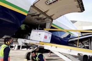 ONU vai antecipar 8 milhões de doses de vacinas compras pelo Governo do Brasil 7 377179DF BC88 433F BDC0 0344F3C7BEB2