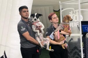 Arena Castelão recebe campanha para incentivar adoção responsável de cães 1 ABA60EC2 F934 4FEE 9EE1 2C54B33CC80A