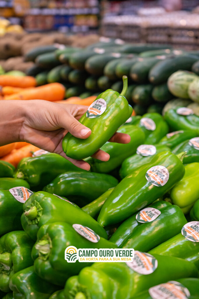Campo Ouro Verde amplia mix de produtos e passa a fornecer vegetais e frutas em supermercados 1 cov