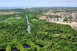 Travado na Câmara, projetos de Evandro pró-áreas verdes ficarão só para depois do recesso de vereadores 8 IMG 8043