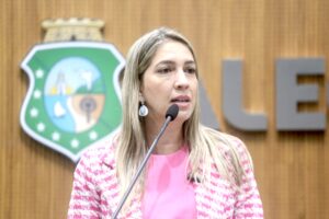 Empresa acusa deputada estadual de incentivar ocupação a loteamento privado 4 IMG 6768