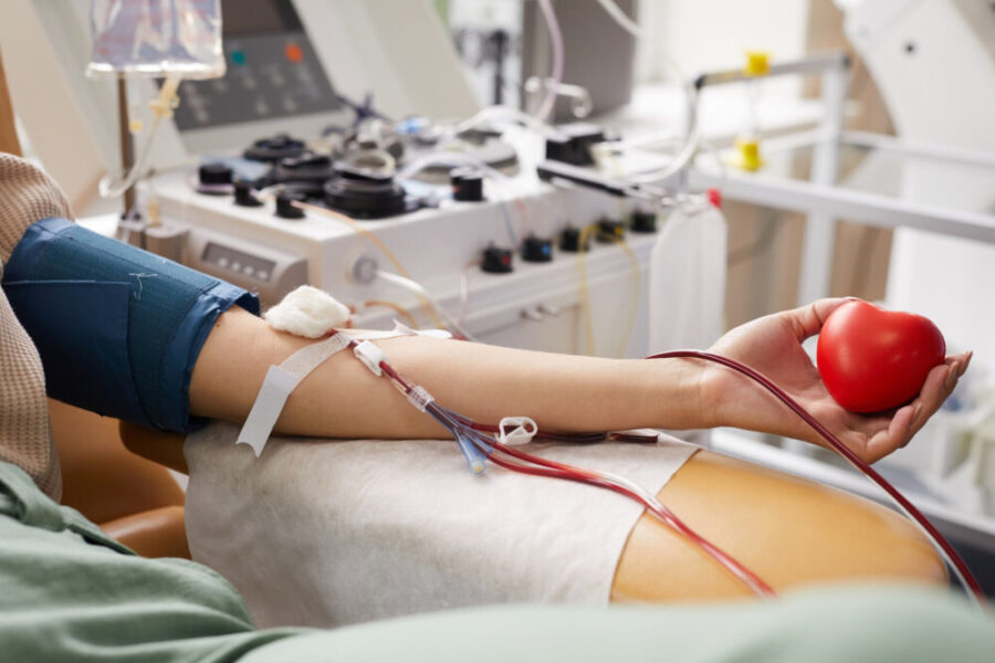 Assembleia mobiliza campanha para doação de sangue e cadastro de medula óssea 1 IMG 8198